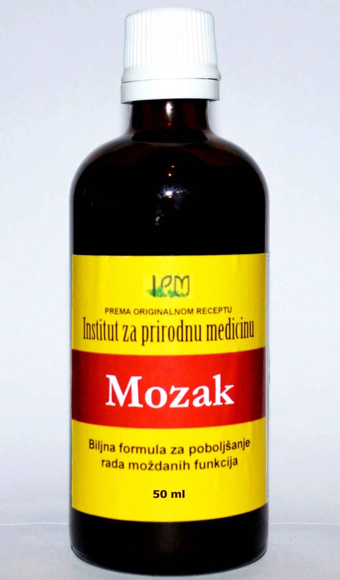 mozak